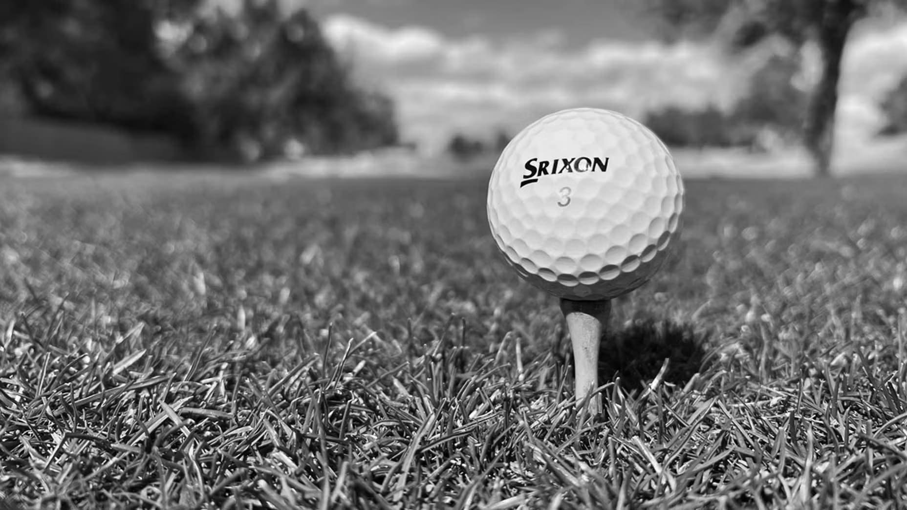 Srixon Golf Balls Reviews and Comparisons