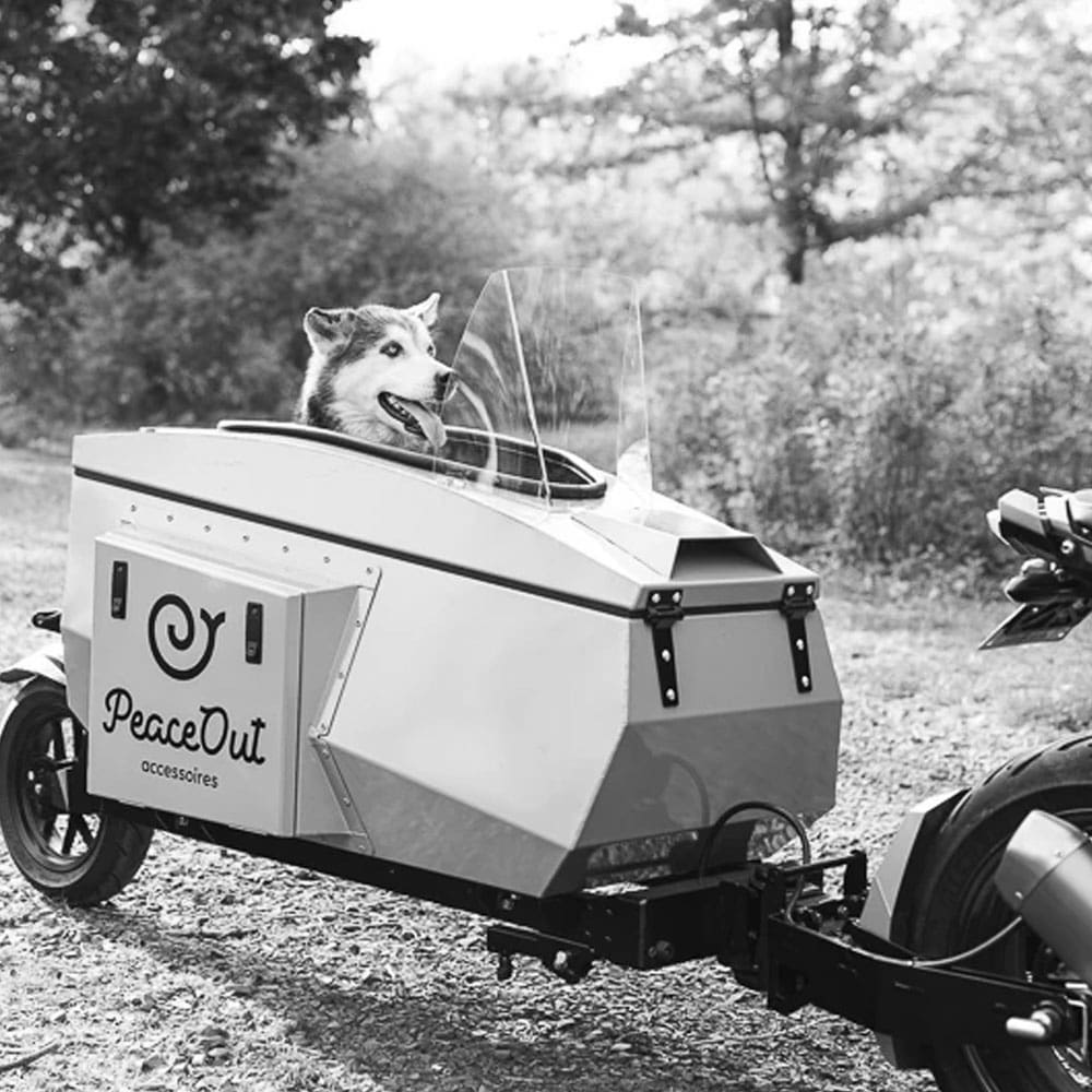 Is There a Law Governing Motorcycle Pet Trailers in Ontario?