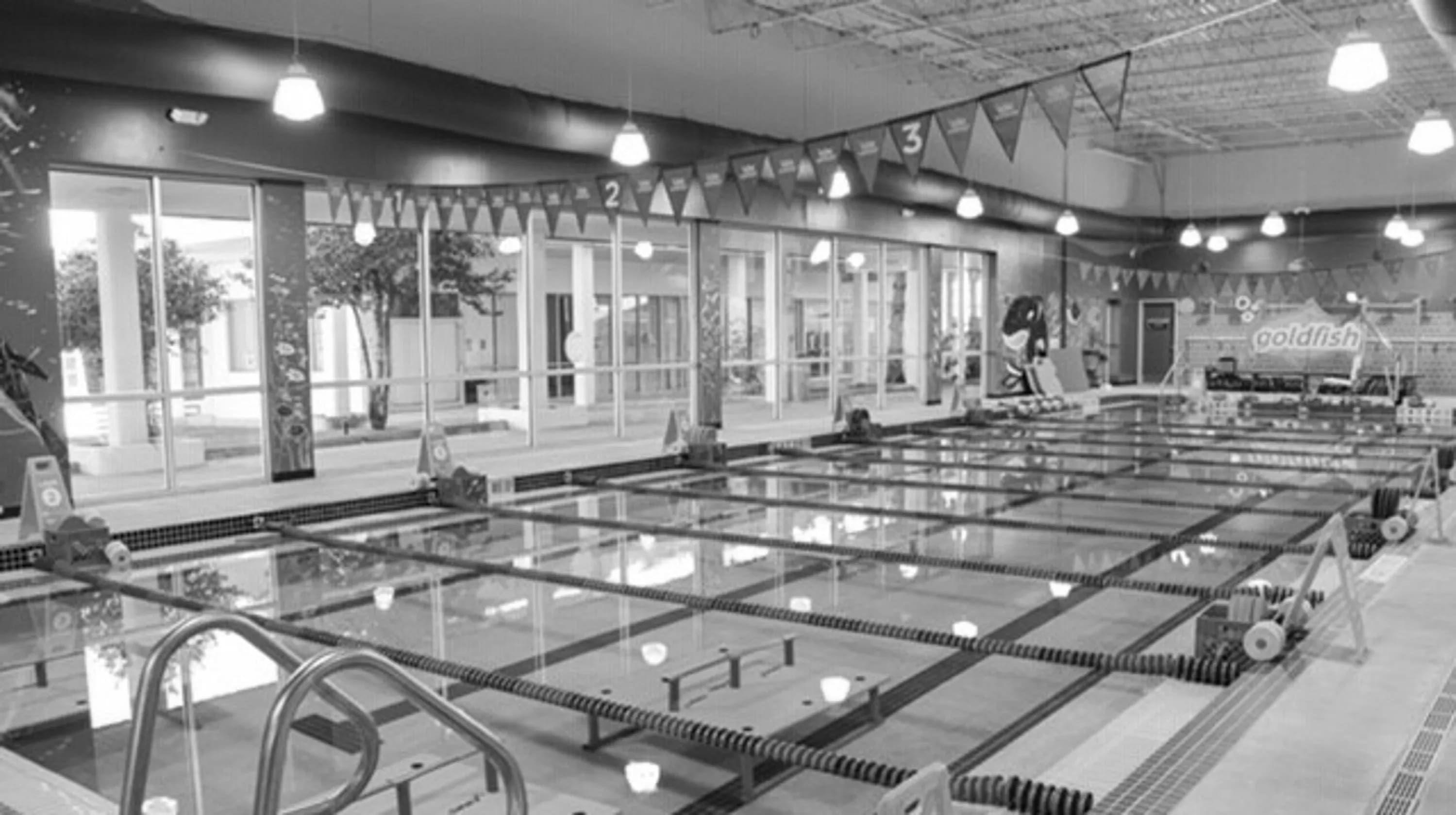 Goldfish Swim School: A Parent's Guide