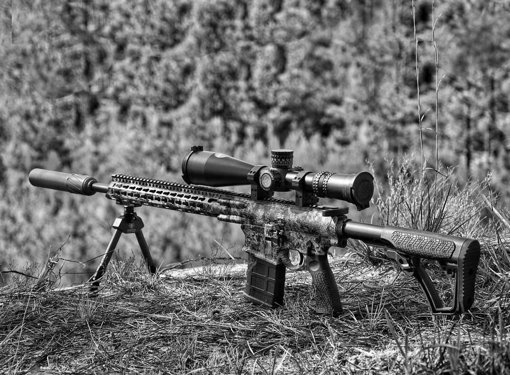 Best .308 Rifles for Precision Shooting