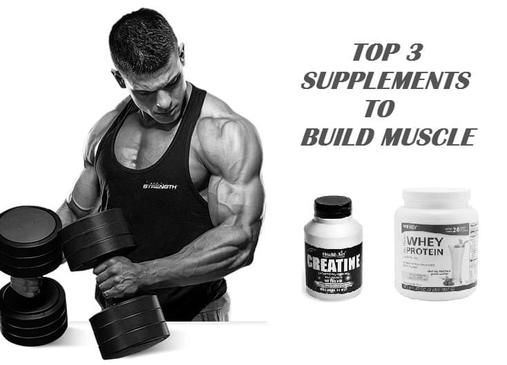 Best Muscle Building Supplements for Gains