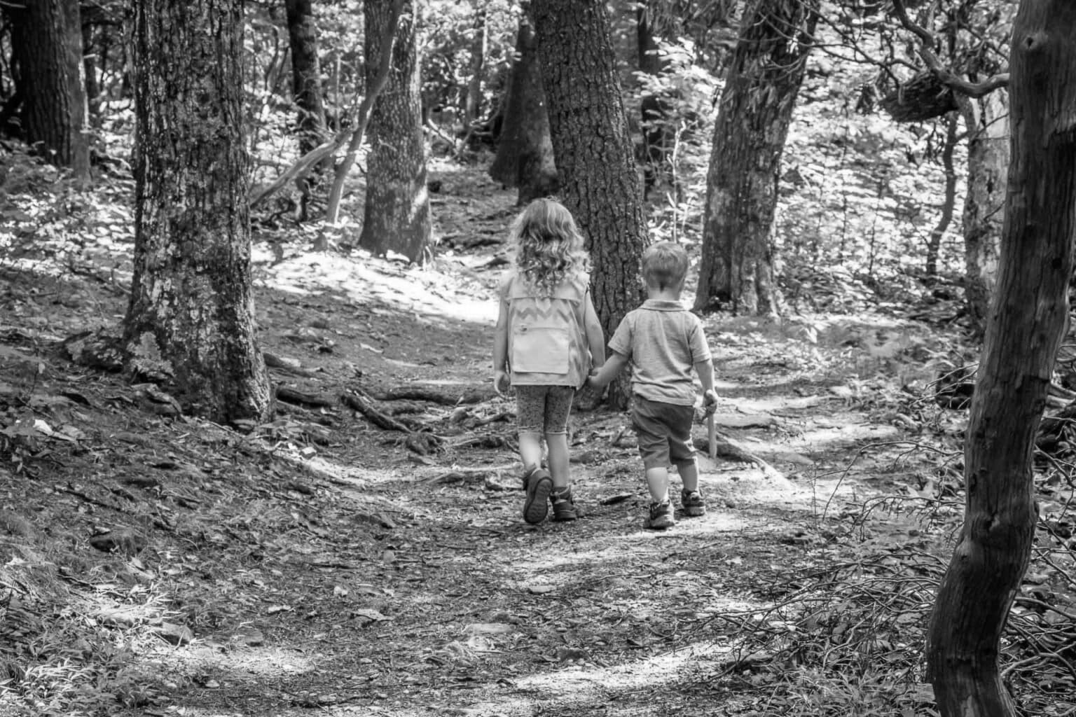 Best Toddler Hiking Boots for Little Adventurers