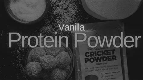 Best Vanilla Protein Powders