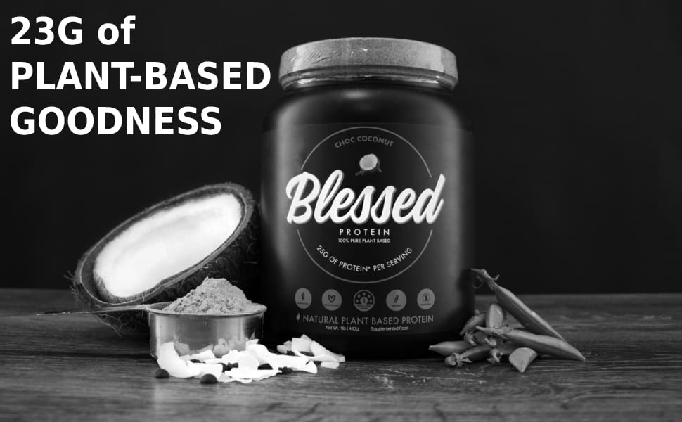 Comparing Blessed Protein Powder to Alternatives