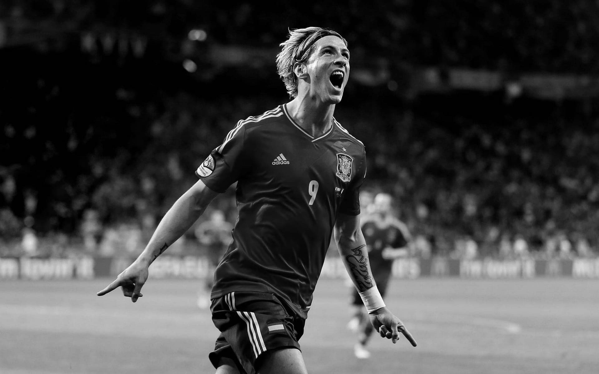 From Star Player to Coach Fernando Torres in Soccer