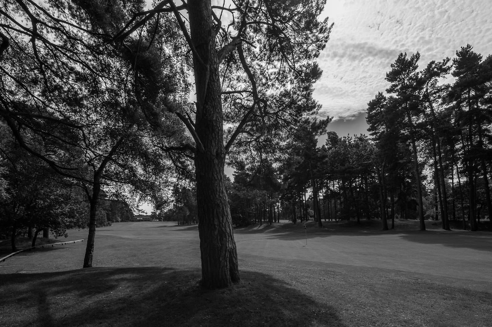 Pine Ridge Golf Course A Lutherville Sanctuary