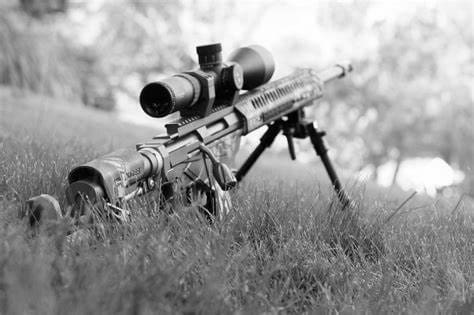 Ruger Precision Rifle Accuracy and Performance