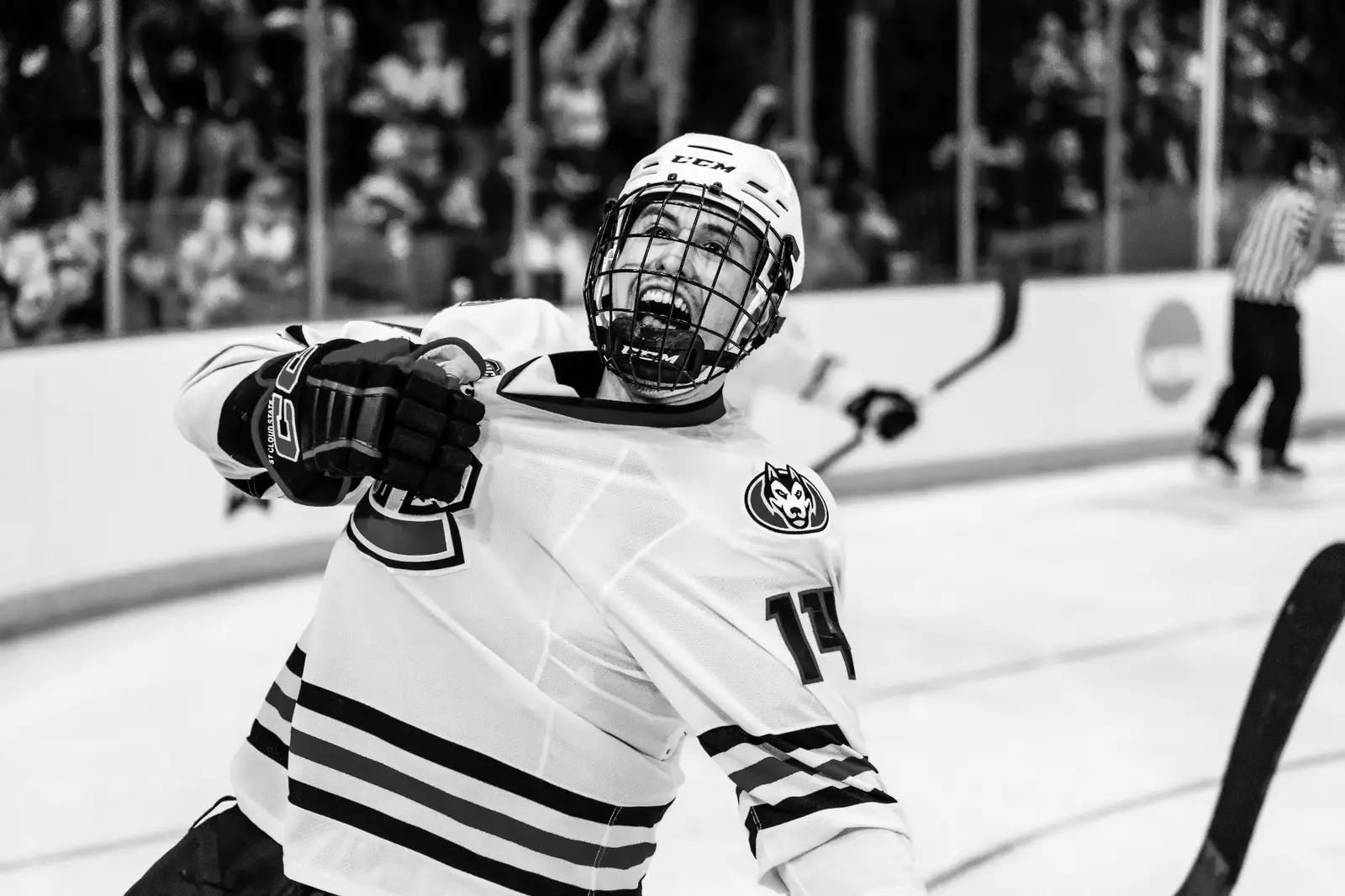 St. Cloud State Hockey Player Mount Rushmore