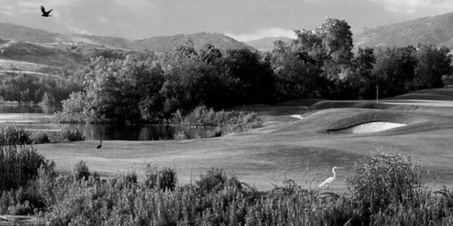 Strawberry Farms Golf Nature Meets Sport