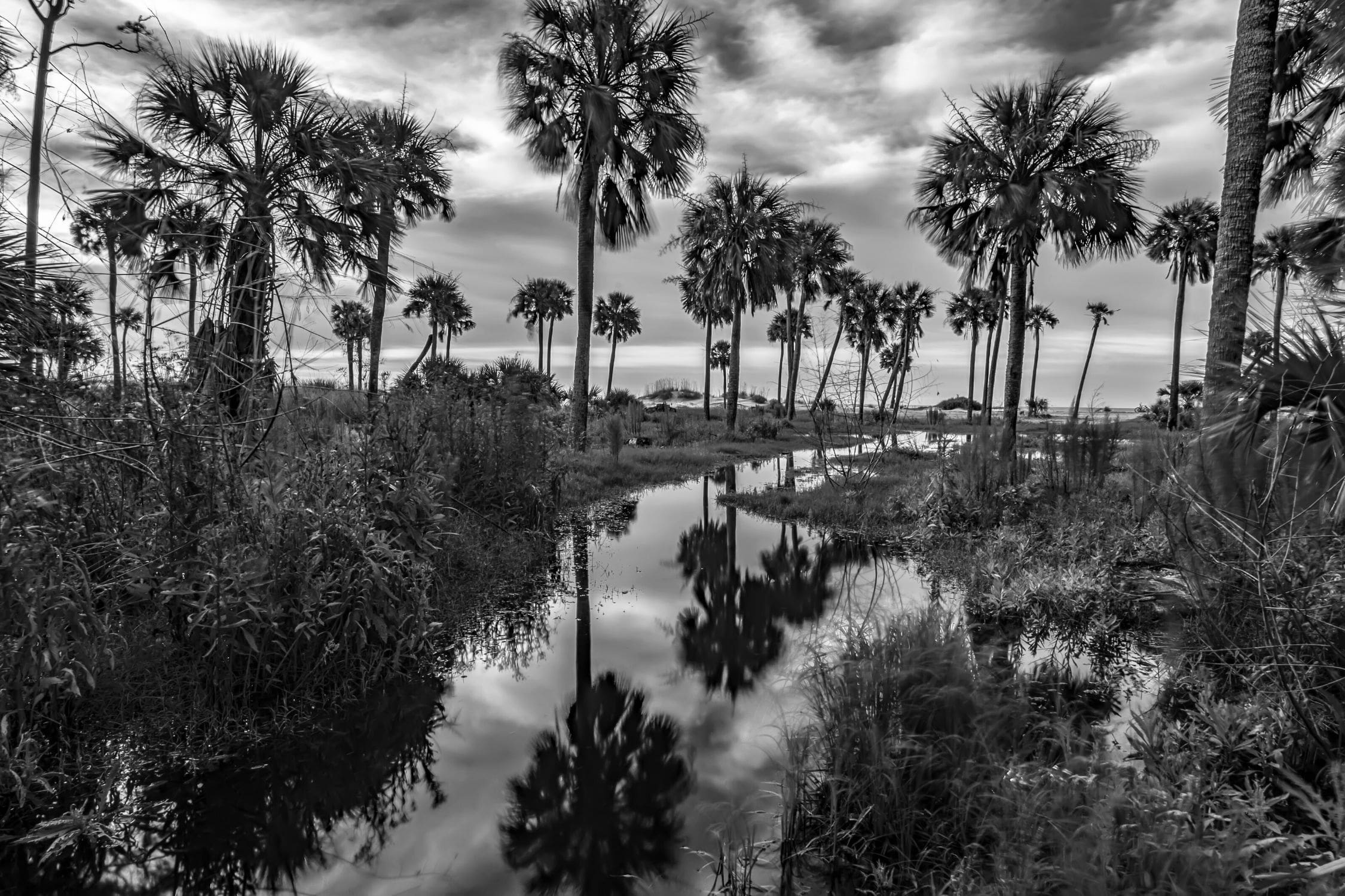 Top Activities at Hunting Island State Park