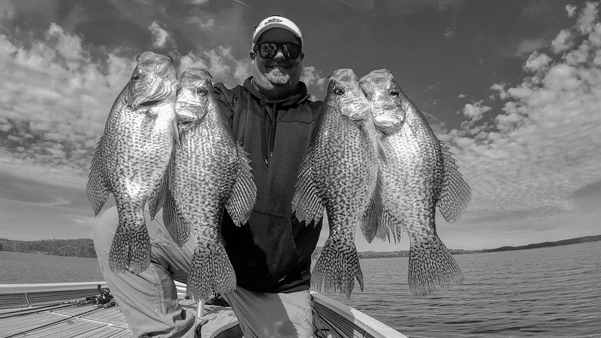 Understanding Crappie Behavior A Fisherman’s Guide