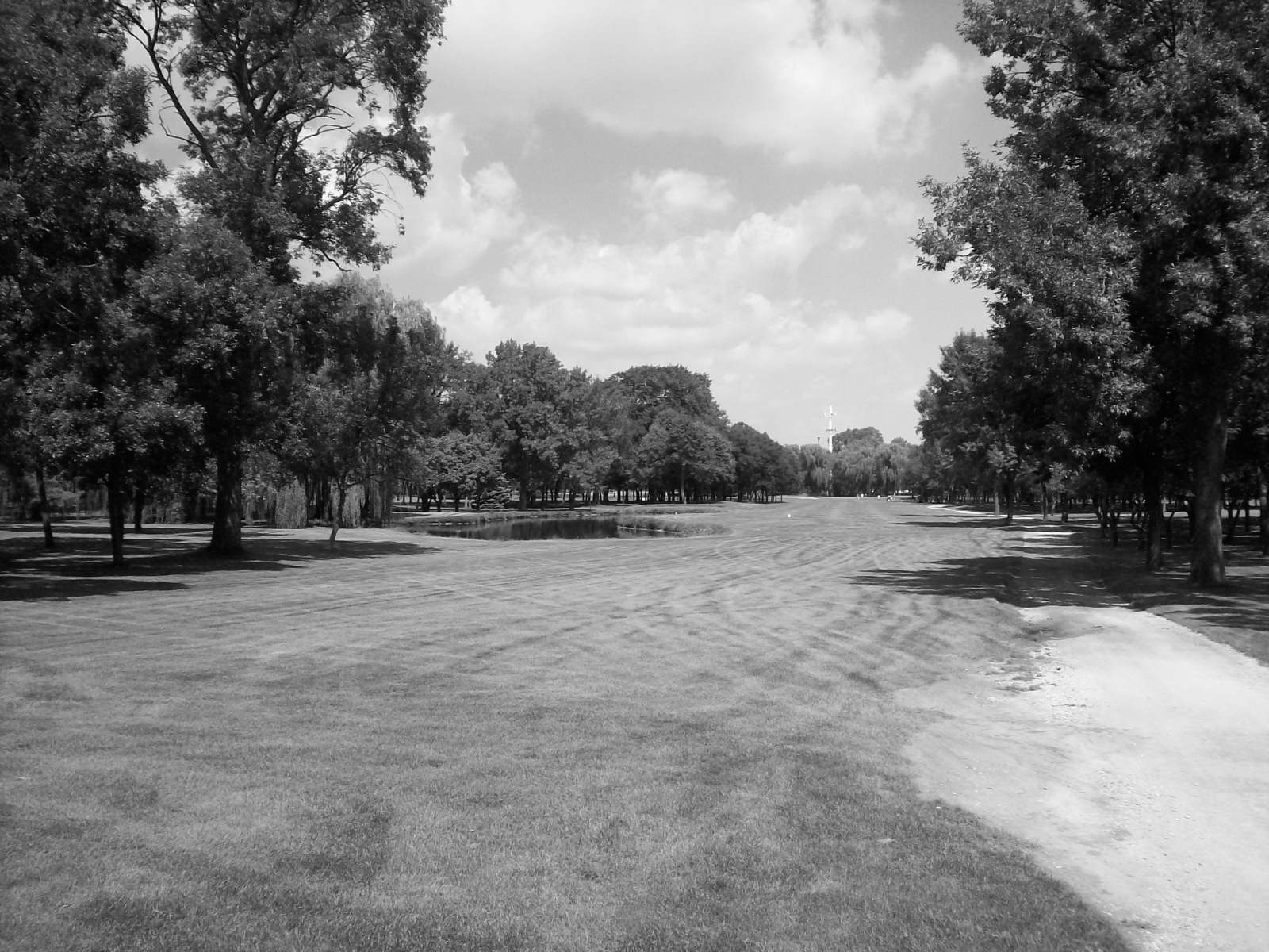 White Pines Golf Club An Illinois Treasure